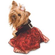 Paw Appeal Sheer Elegance dog dress