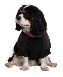 city super quilt dog coat