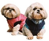 city super quilted dog coat