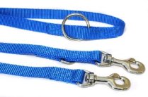 Dog training blue lead
